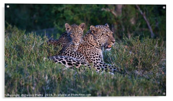 Leopard with Cub Acrylic by Dennis Platts
