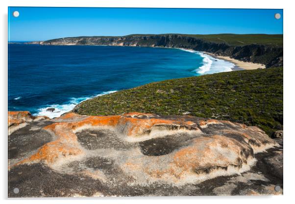 Remarkable Rocks, Flinders Chase National Park Acrylic by Andrew Michael