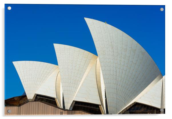 Man at work at the top of one of Sydney Opera Hous Acrylic by Andrew Michael