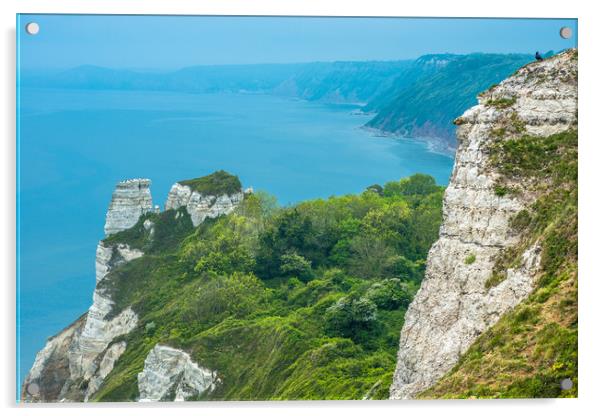 Clifftops between Beer and Branscombe Acrylic by Andrew Michael