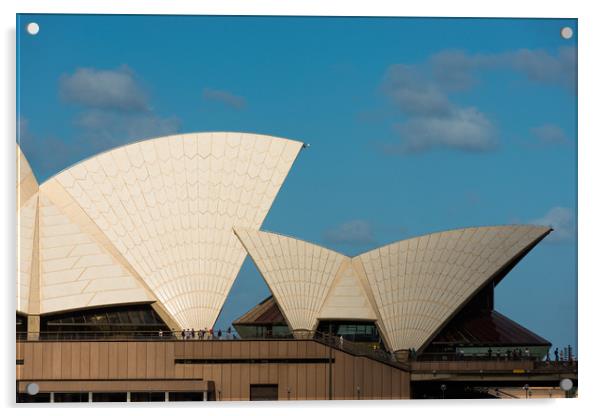 Sydney Opera house sails. Acrylic by Andrew Michael
