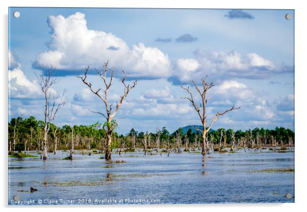 Siem Reap Lake Acrylic by Claire Turner