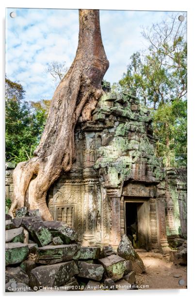 Tree on temple ruins Acrylic by Claire Turner