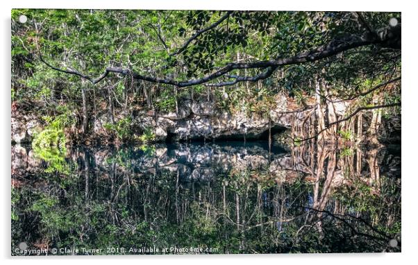 Cenote Angelita Acrylic by Claire Turner