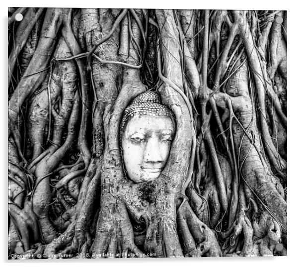 Ayutthaya Buddha head in tree Acrylic by Claire Turner