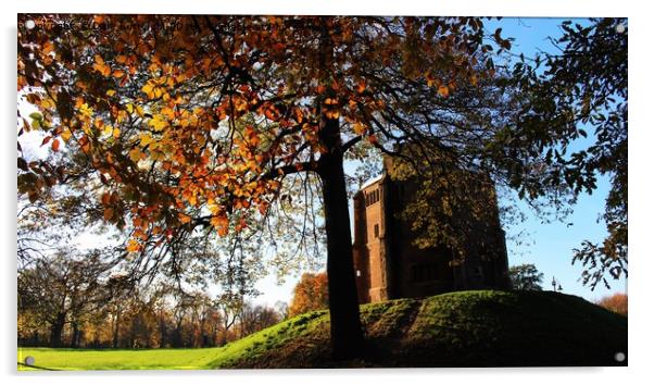 Red Mount Kings Lynn Acrylic by D Buttolph Photography