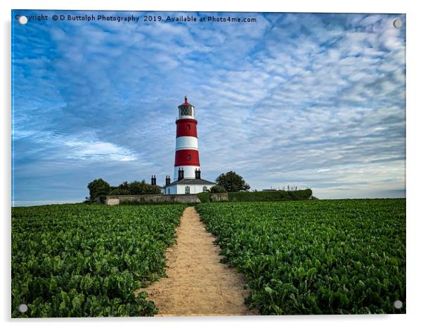 Happisburgh lighthouse Norfolk  Acrylic by D Buttolph Photography