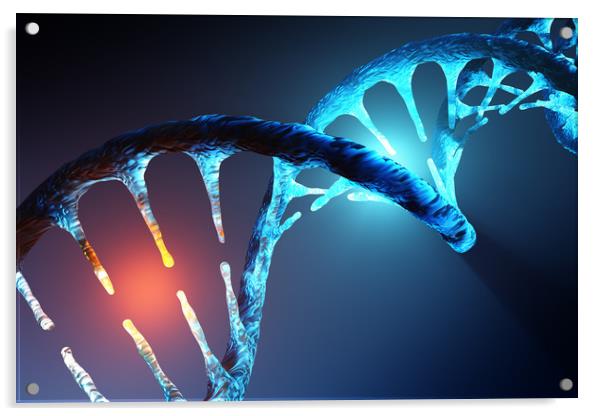 DNA strand Acrylic by Johan Swanepoel