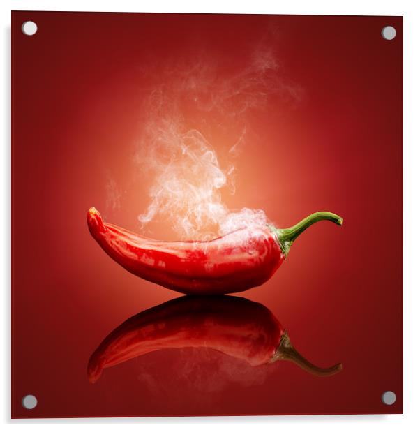 Chili red steaming hot Acrylic by Johan Swanepoel