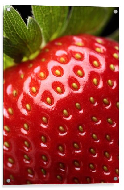 Fresh strawberry close-up Acrylic by Johan Swanepoel
