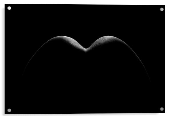Nude woman bodyscape 8 Acrylic by Johan Swanepoel