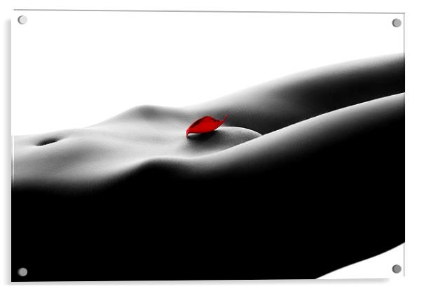 Nude bodyscape on white 1 Acrylic by Johan Swanepoel
