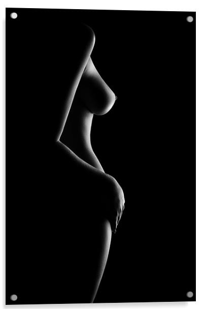 Nude woman bodyscape 20 Acrylic by Johan Swanepoel