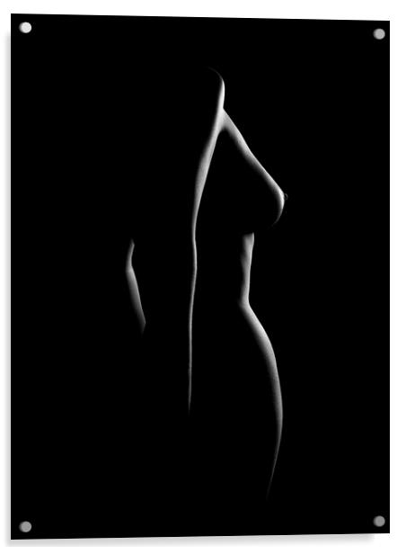Nude woman bodyscape 22 Acrylic by Johan Swanepoel