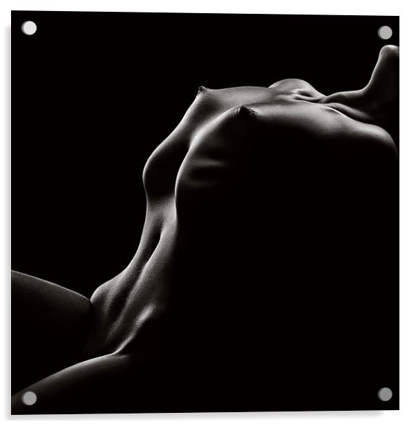 Nude woman bodyscape 42 Acrylic by Johan Swanepoel