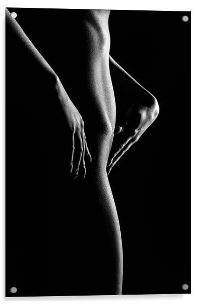 Nude woman bodyscape 55 Acrylic by Johan Swanepoel