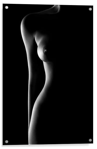 Nude woman bodyscape 62 Acrylic by Johan Swanepoel
