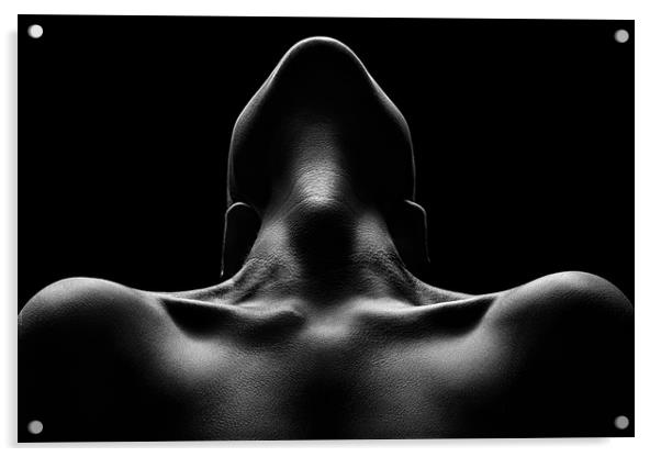 Nude woman bodyscape 63 Acrylic by Johan Swanepoel
