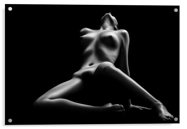 Nude woman bodyscape 69 Acrylic by Johan Swanepoel