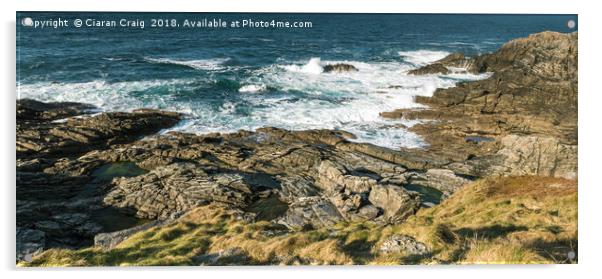 Top of Ireland  Acrylic by Ciaran Craig