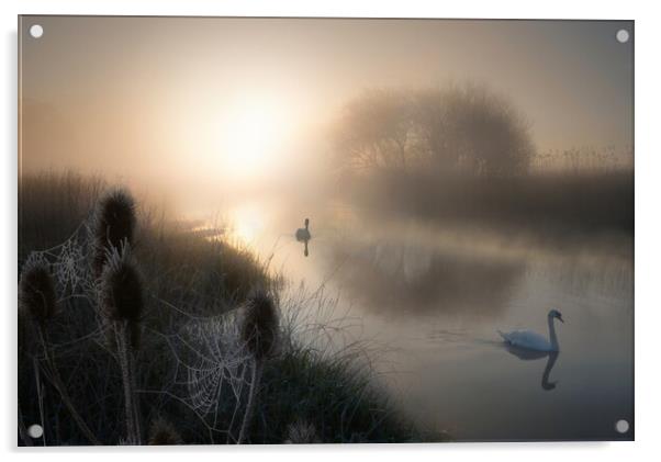 Magical Morning on the Dorset Stour Acrylic by David Neighbour