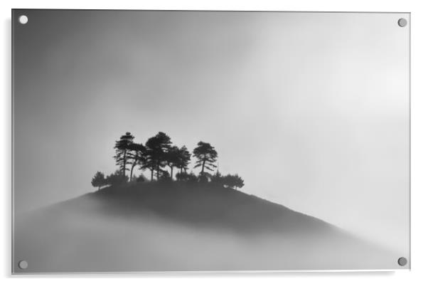 Colmer's Hill B&W Acrylic by David Neighbour