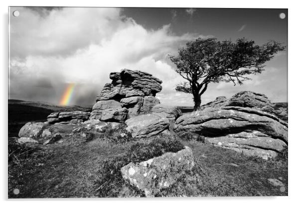 Tor, Tree and Rainbow Acrylic by David Neighbour