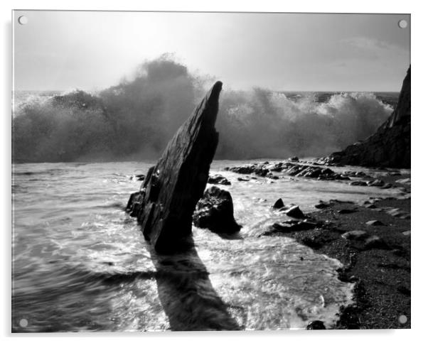 Ayrmer Wave Black and White Acrylic by David Neighbour