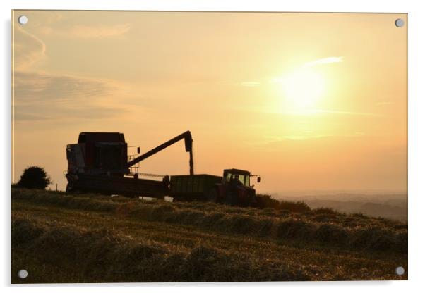 Harvest time, Dorset. Acrylic by David Neighbour
