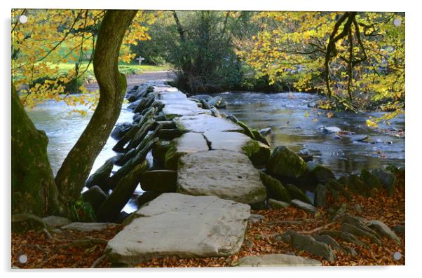 Tarr Steps Acrylic by David Neighbour