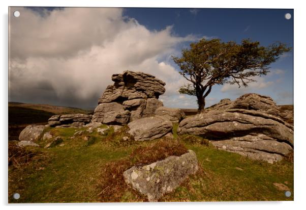 The Tree and the Tor Acrylic by David Neighbour