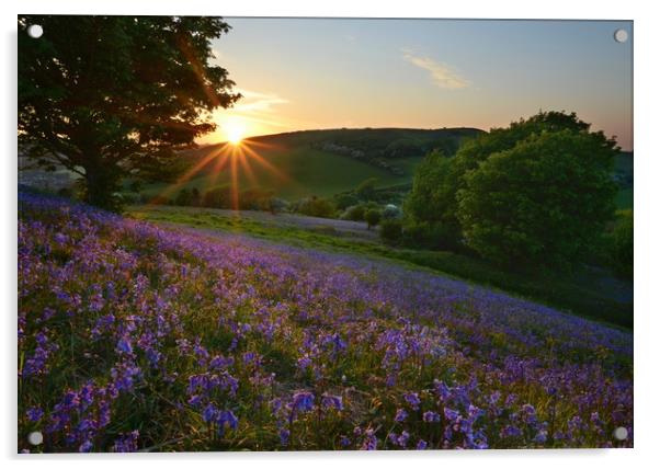 Eype Down, Dorset Acrylic by David Neighbour