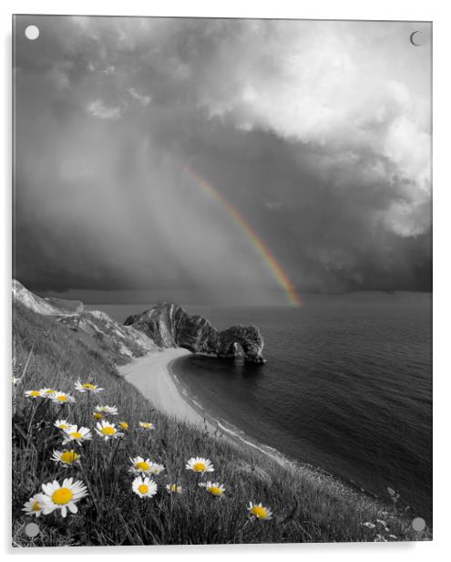 Daisies and Rainbows Acrylic by David Neighbour