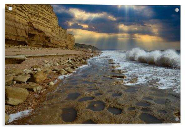 Rock Ledges of Hive Beach Acrylic by David Neighbour