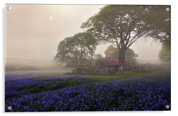 Diffused Dartmoor Acrylic by David Neighbour