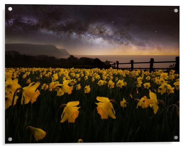 Sidmouth Daffodils and The Milky Way Acrylic by David Neighbour