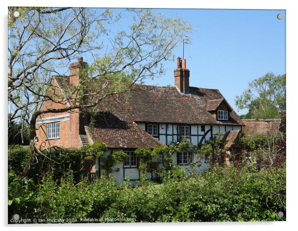 A Late 16th century timber framed Tudor farmhouse Acrylic by Ian Mulcahy