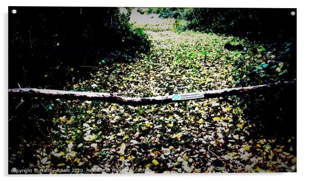Abstract Autumn Pathway Acrylic by Matthew Balls