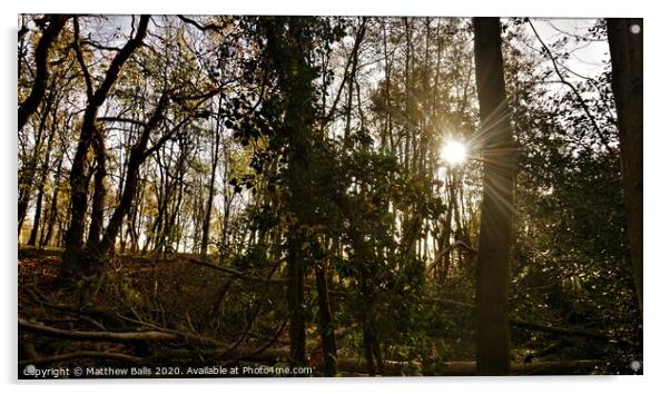 Sunshine in teh Woods Acrylic by Matthew Balls