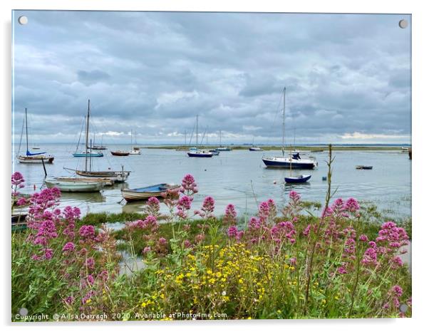  Boats in Old Leigh, Leigh on Sea Acrylic by Ailsa Darragh