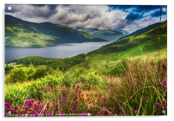 Loch Lomond from the Slopes of Ben Lomond Acrylic by Douglas Milne