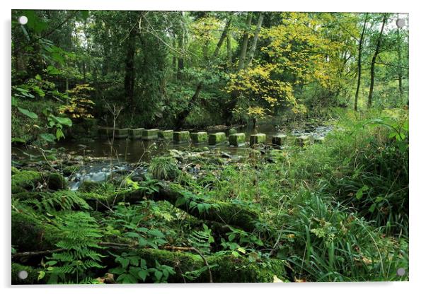 Stepping Stones at Egton Bridge Acrylic by William A Dobson