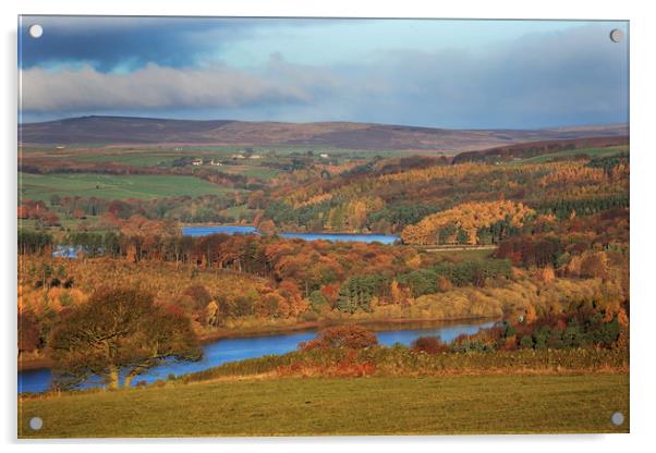 Washburn Valley in Autumn Acrylic by William A Dobson