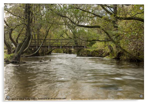 Wooden footbridge at Dovedale Acrylic by Clive Wells