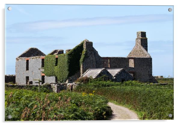 Old building seen on the island of Skomer in West  Acrylic by Clive Wells