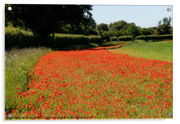 Edging of Poppies Acrylic by Clive Wells