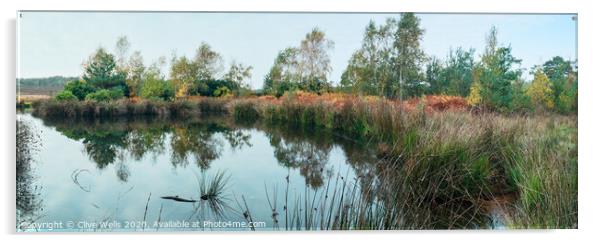 Small lake at Wolverton in Norfolk Acrylic by Clive Wells