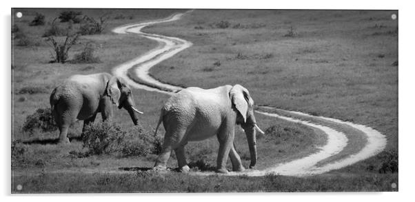 Two elephants stroll past a winding road Acrylic by Sue Hoppe