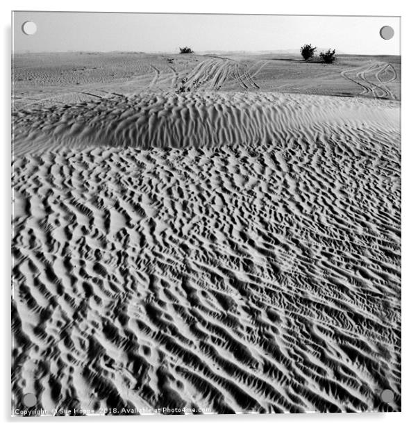The Arabian desert outside Dubai Acrylic by Sue Hoppe
