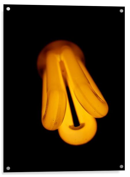 light bulb with a dark background Acrylic by Dinil Davis